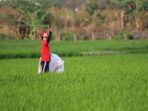 Masih Adakah Sawah dan Kebun di Kota Bandung?