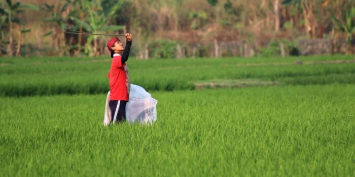 Masih Adakah Sawah dan Kebun di Kota Bandung?