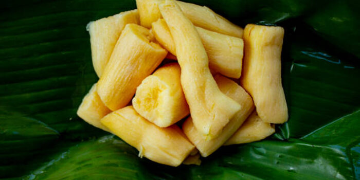 Sudah Tahu Belum Bedanya Peuyeum dan Tape Singkong?