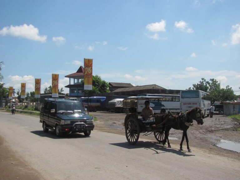 Delman, Transportasi Tradisional yang Eksis Hingga Kini. Sejarah dan Berbagai Nama di Daerah