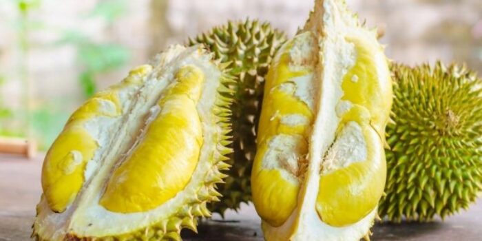 5 Kuliner Durian di Bandung Ini Bikin Kamu Merem Melek Saat Memakannya