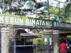Hore! Kebun Binatang Bandung Berencana Buka pada Lebaran Nanti, Pengunjung Dibatasi!