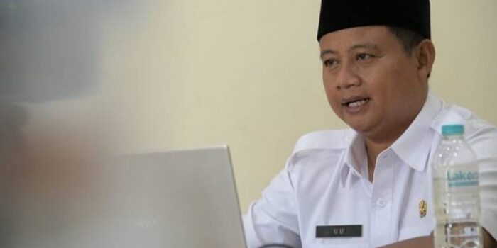 Sekarang Petani Milenial Mulai Budi Daya Jamur Kayu