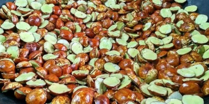 Jengkol, “Si Bau” yang Banyak Digemari Masyarakat Indonesia