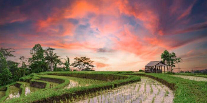 Muhammadiyah Punya Potensi Besar Kembangkan Desa Wisata, Ini Alasannya