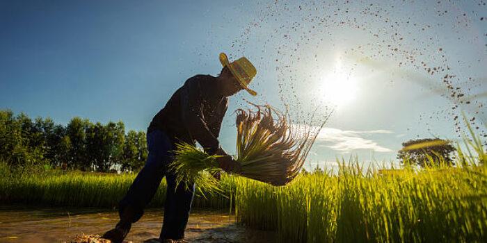 Inilah Cara Rasulullah Mendidik Umatnya Agar Giat Bekerja