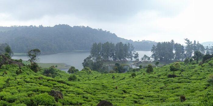 Situ Patenggang, Wisata Danau Dengan Pemandangan Estetik di Bandung Selatan