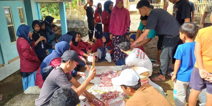 Berlangsung di Cibiuk, “Berkah Kurban” Mahasiswa PAI UM Bandung Sembelih Sapi dan Kambing