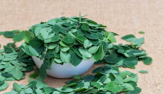 Sudah Ada Sejak Kebudayaan Mesir Kuno, Inilah Manfaat Daun Kelor Untuk Kesehatan