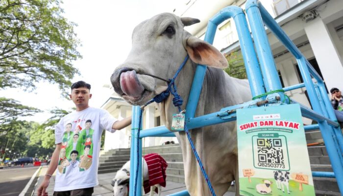 Jelang Iduladha, Pemerintah Imbau Warga Pilih Hewan Kurban Bersertifikat