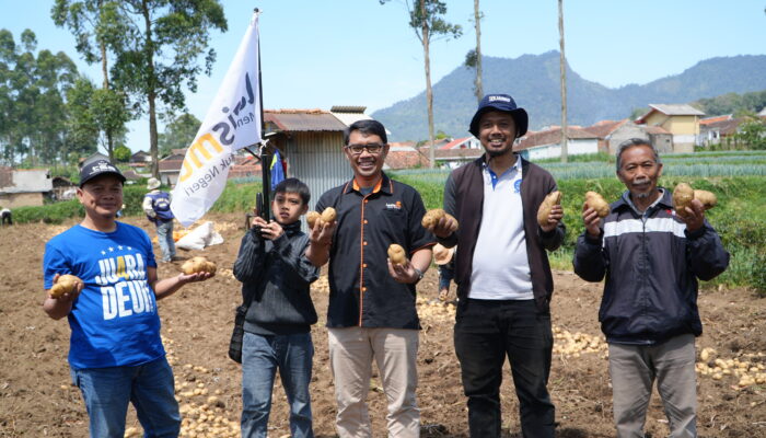 Lazismu Jabar dan MPM Muhammadiyah Dukung Petani Kentang Lewat Program Tani Bangkit