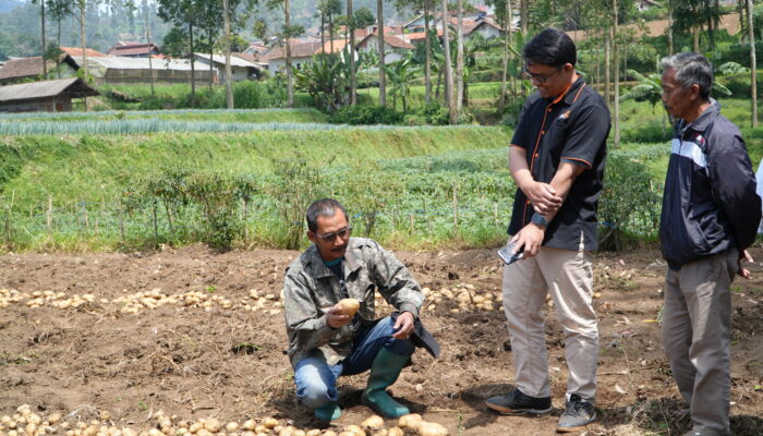 Program Tani Bangkit Wujudkan Dakwah Sosial Lewat Pemberdayaan Ekonomi