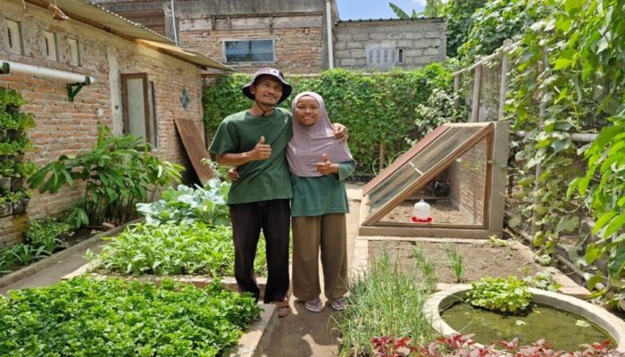 Hidup dari Sumber Daya: Gaya Hidup Pasutri Klaten Membangun Kemandirian Pangan dari Pekarangan Rumah
